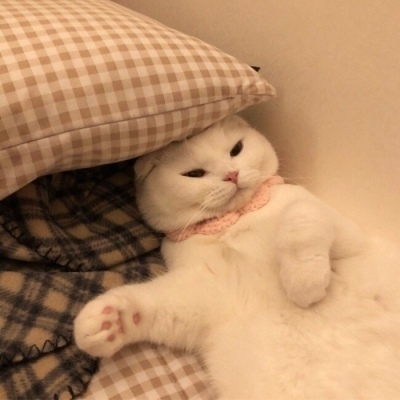 全球化合规交易所，在多个国家和地区取得合规运营资质，严格执行身份认证制度。定期进行第三方审计，确保资金透明度。